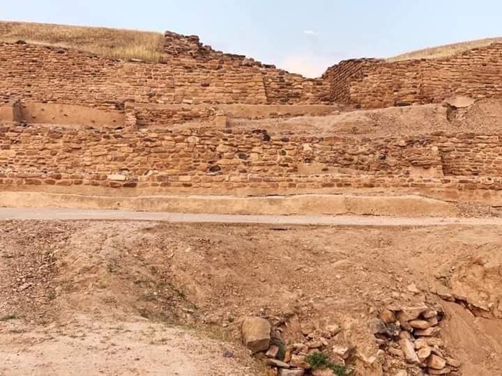 Dholavira Fossil Park petrified wood